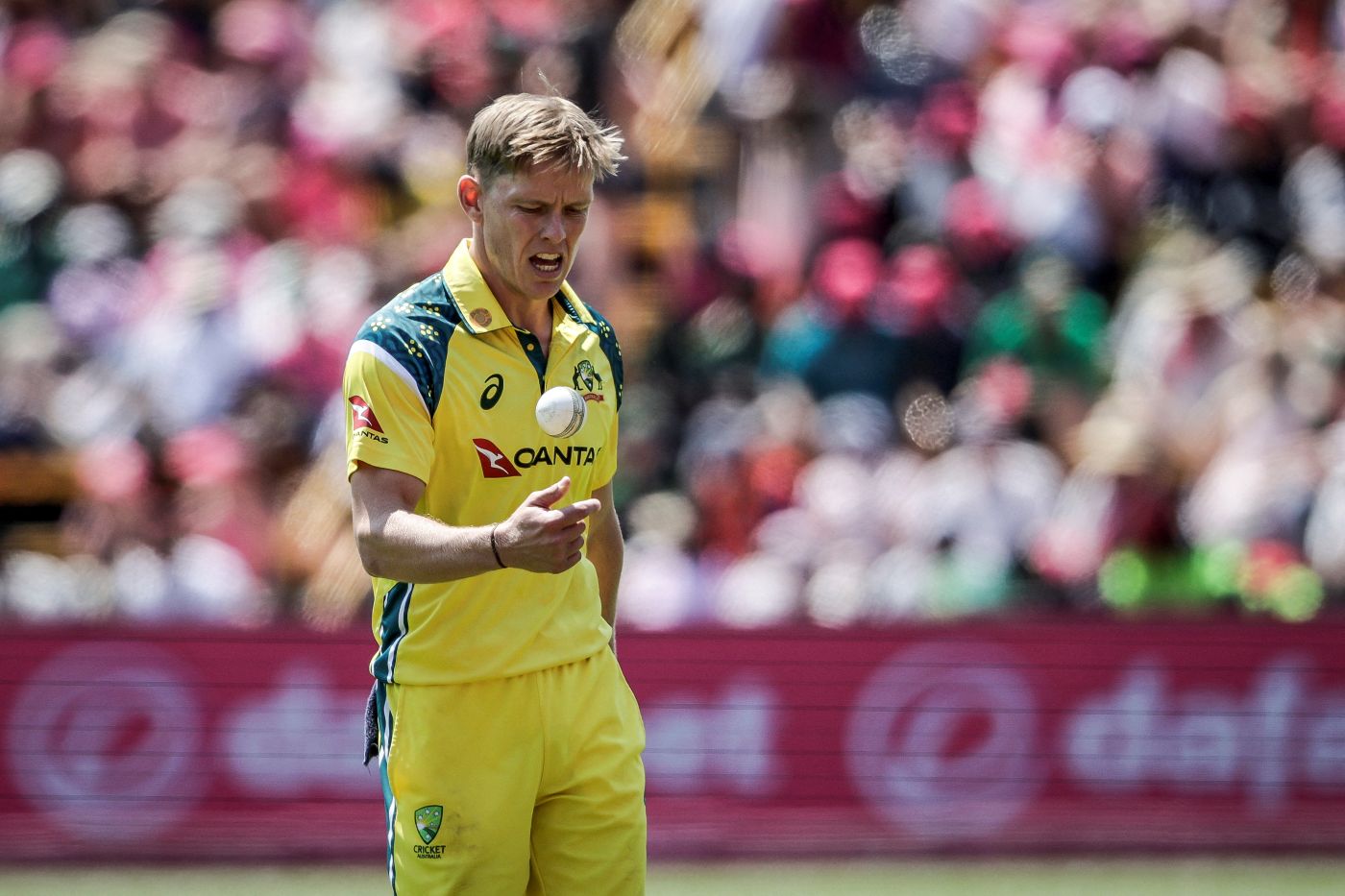Ellis and Davies ruled out of final ODI vs South Africa
